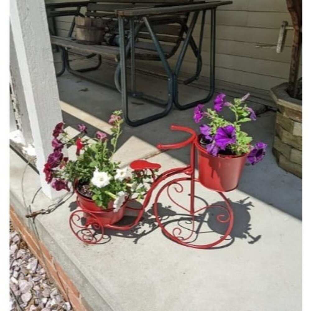 Hand Painted Metal Tricycle Plant Stand Standing Planter Flower Holder